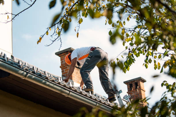 Professional Roofing Contractor in Carpendale, WV