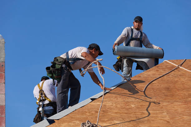 Best New Roof Installation  in Carpendale, WV