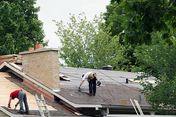 Best Roof Leak Repair  in Carpendale, WV