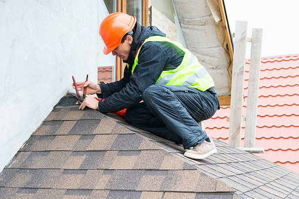 Best Emergency Roof Repair  in Carpendale, WV