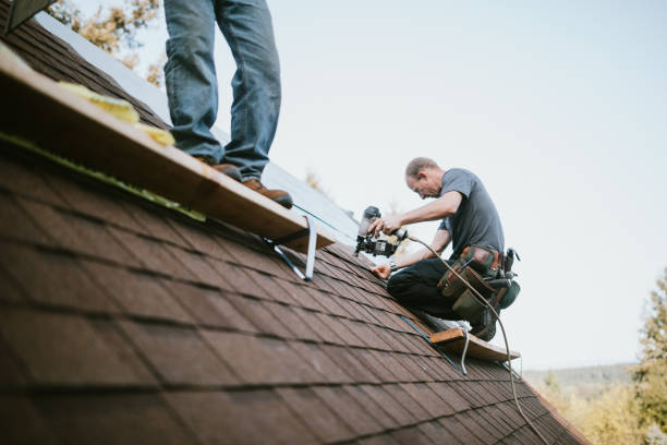 Best Shingle Roofing Installation  in Carpendale, WV